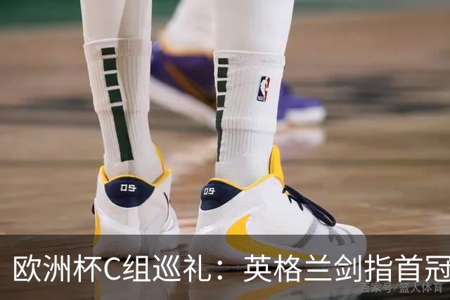 欧洲杯C组巡礼：英格兰剑指首冠 丹麦难演童话
